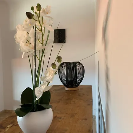 Apartment Beau T4 100m2 Palais Des Rois De Majorque Perpignan