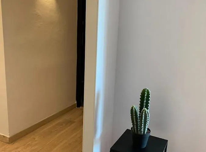 Appartement Beau T4 100m2 Palais Des Rois De Majorque