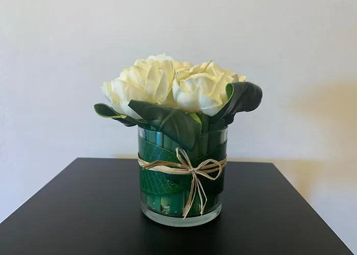 Beau T4 100m2 Palais Des Rois De Majorque Appartamento