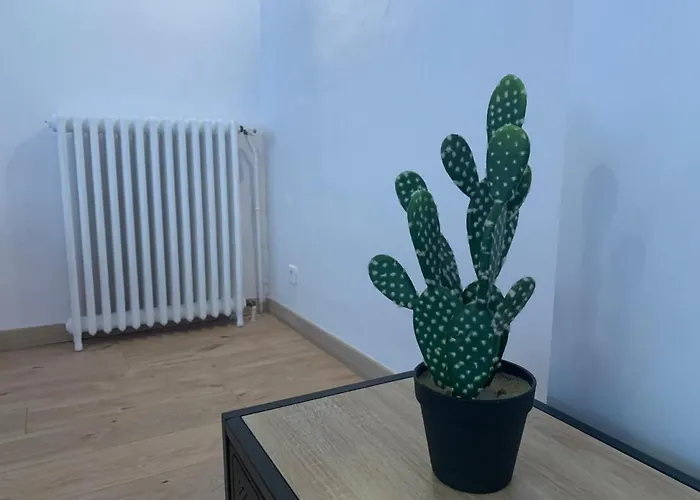 Appartement Beau T4 100m2 Palais Des Rois De Majorque *