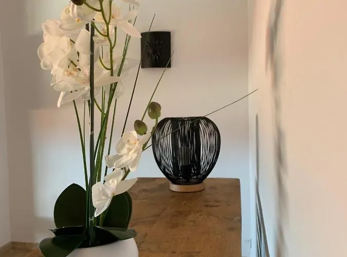 Appartement Beau T4 100m2 Palais Des Rois De Majorque Perpignan